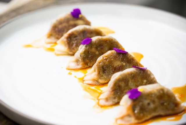 finger-food-and-canapes-gyoza